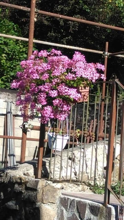Maison De Marina B&B Piano di Follo Luaran gambar